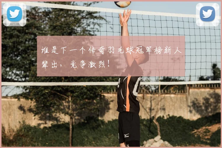 谁是下一个传奇羽毛球冠军榜新人辈出，竞争激烈！