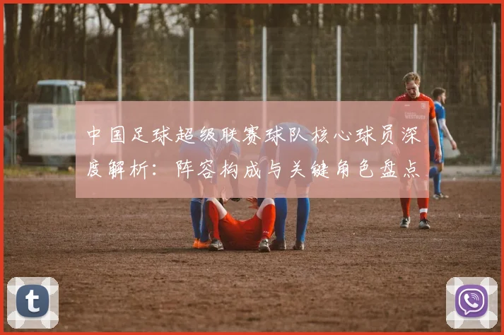中国足球超级联赛球队核心球员深度解析:阵容构成与关键角色盘点